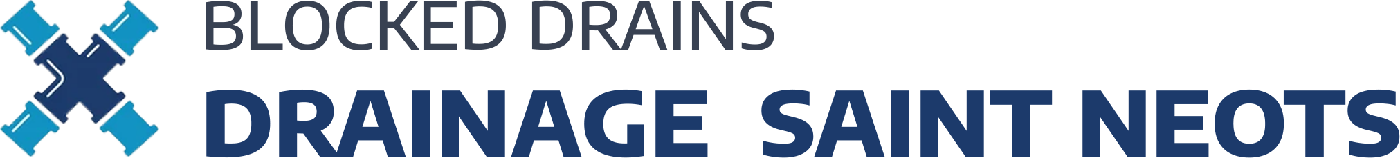 website logo